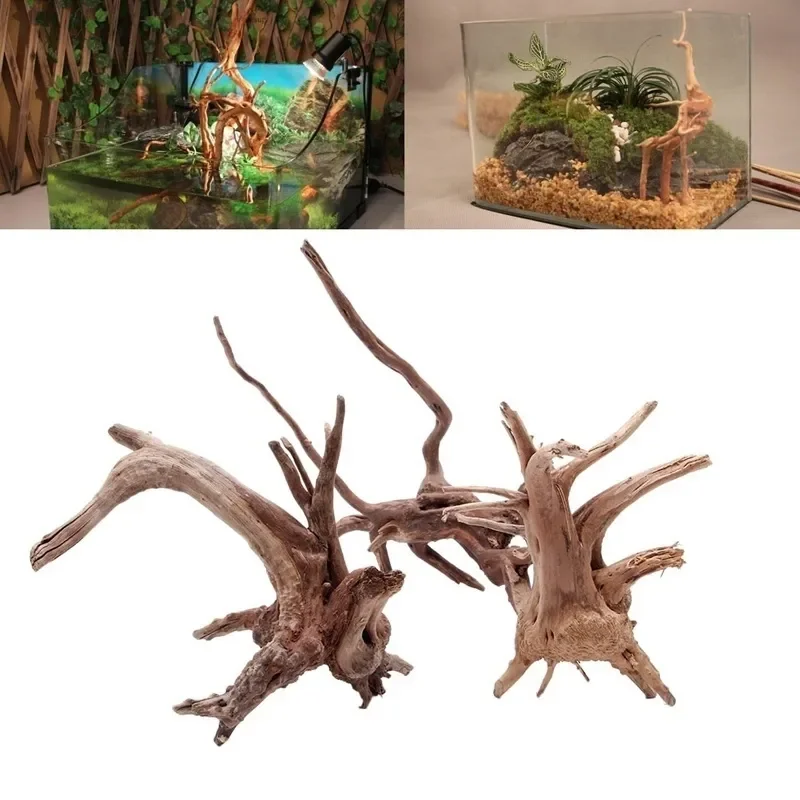 Marine Aquarium Hobby - Tronco de árbol Natural de madera