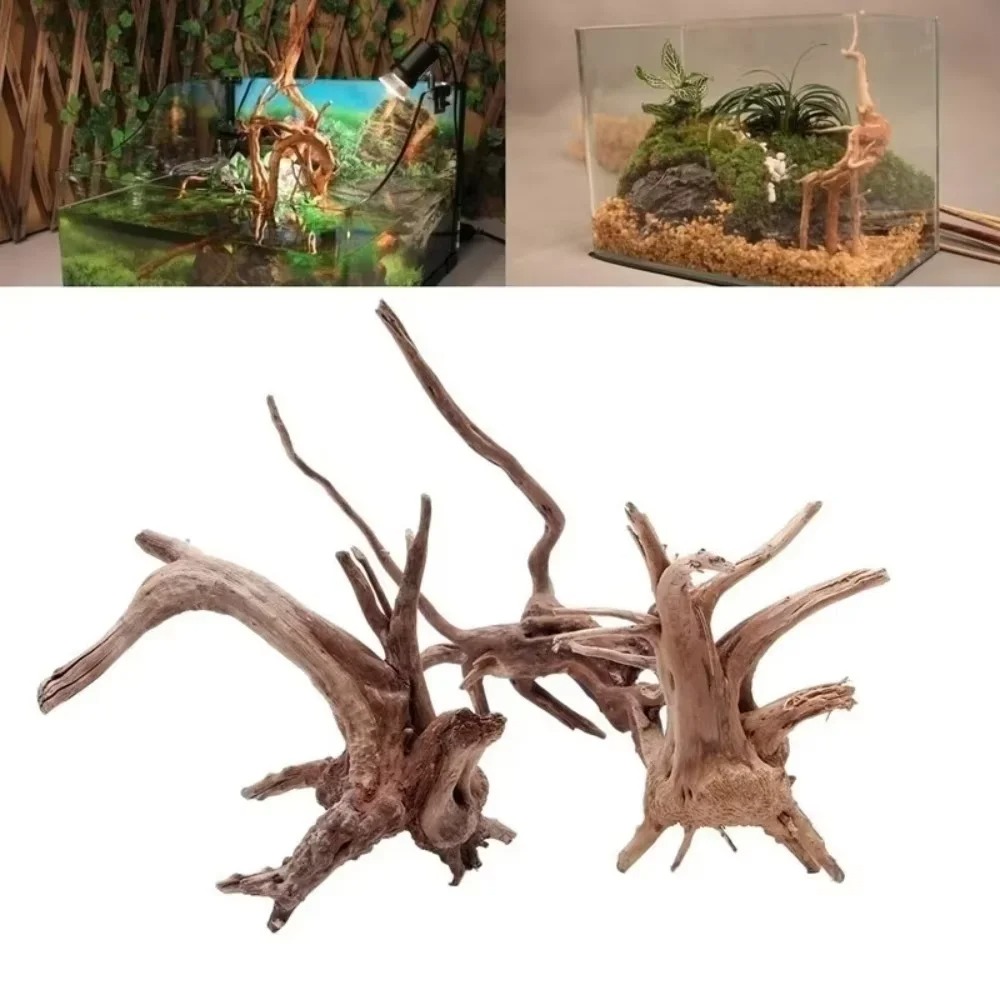 Marine Aquarium Tanks - Decoración de Acuario con Madera Natural