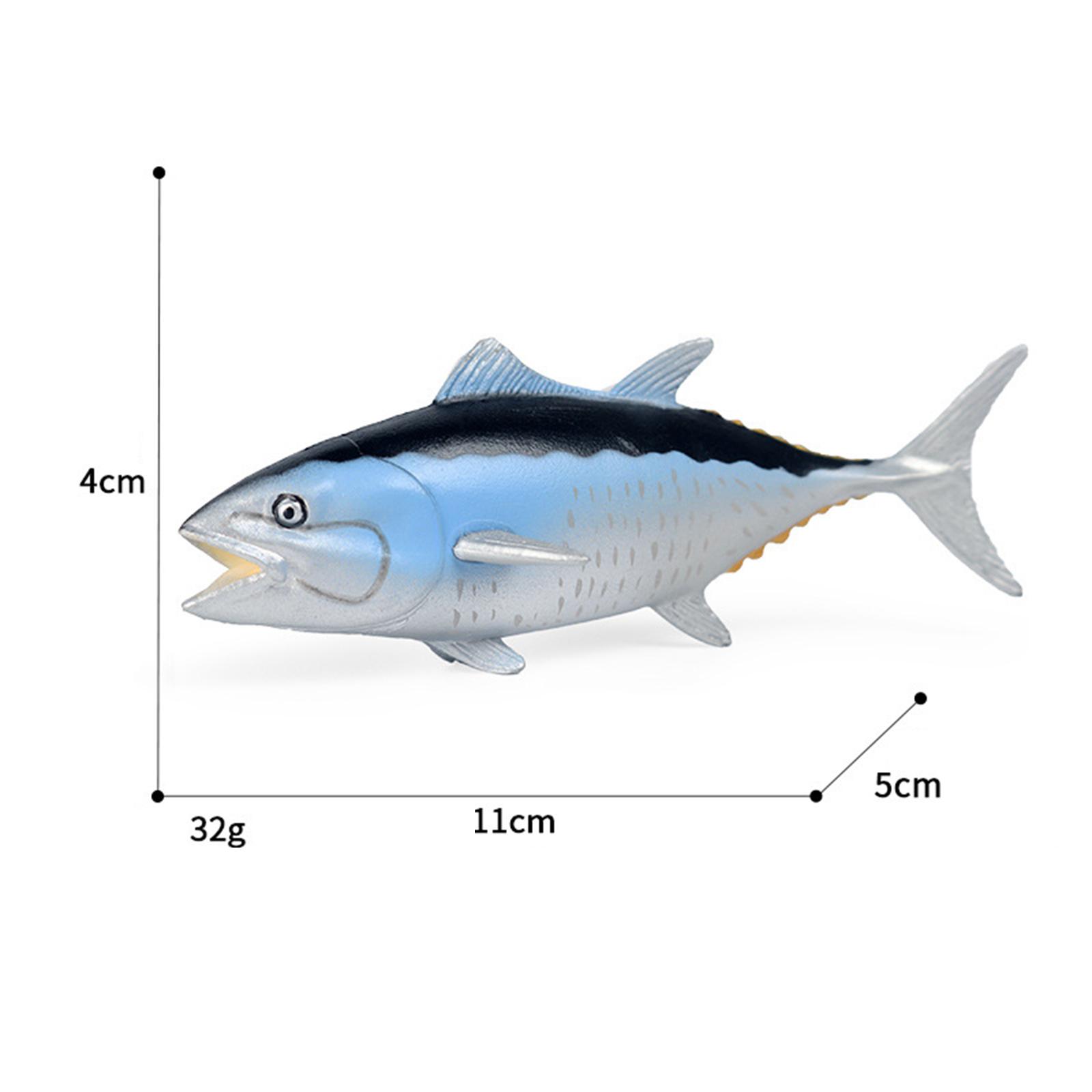 Marine Zoo - Modelo de Animal Marino de Simulación,