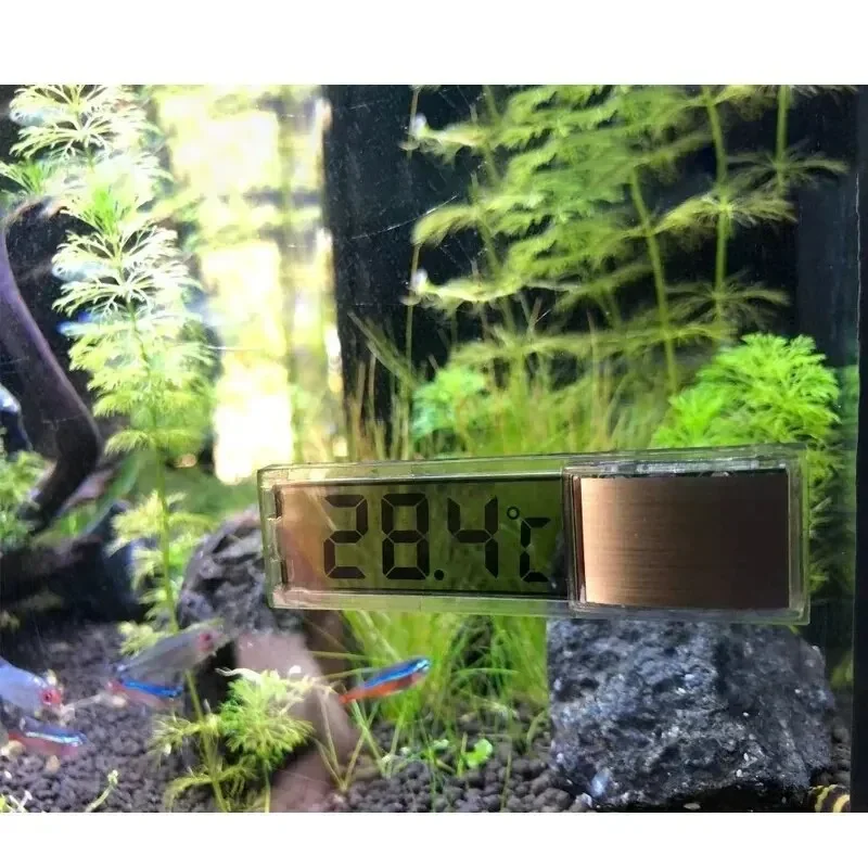 Termómetro Digital LCD para Ac - Marine Aquarium Hydrometer reseña y precio