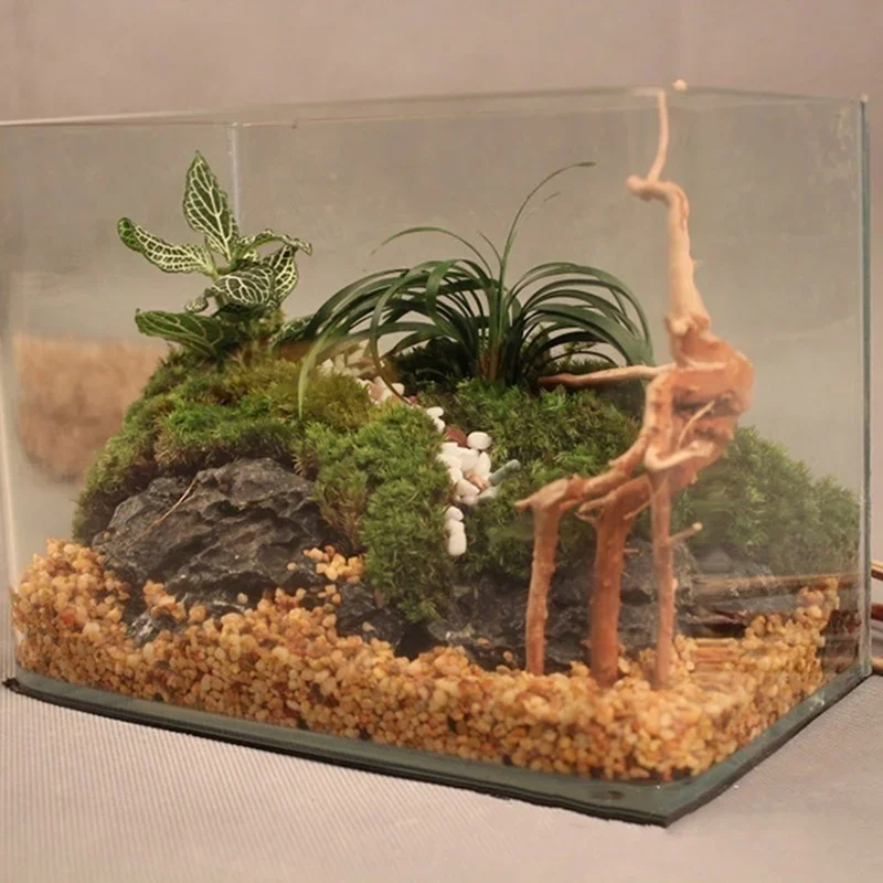 Tronco de árbol Natural de mad - Marine Aquarium Hobby reseña y precio