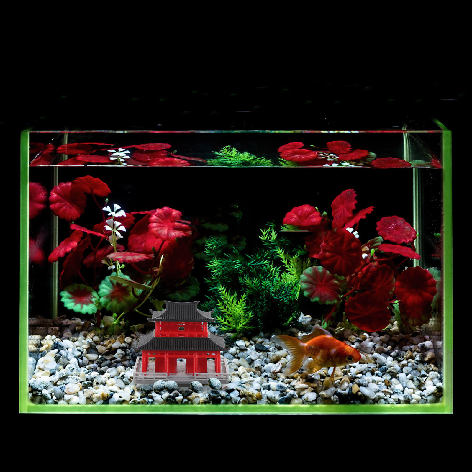 Mini Pabellón Pagoda, Arquitec - Aquarium & Marine Museum reseña y precio