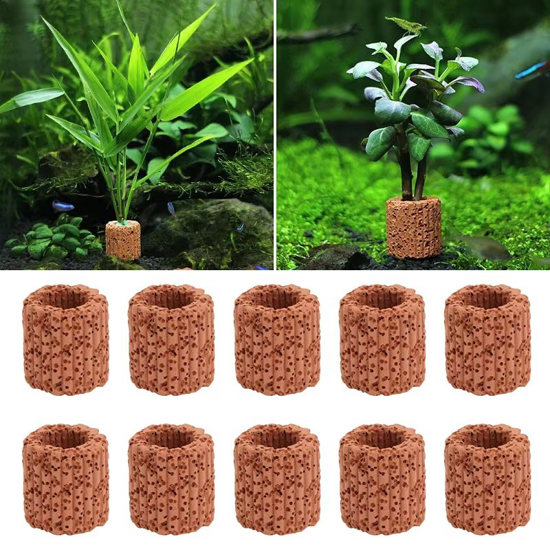Anillo fijo para plantas acuát - Marine Aquarium Hobby reseña y precio