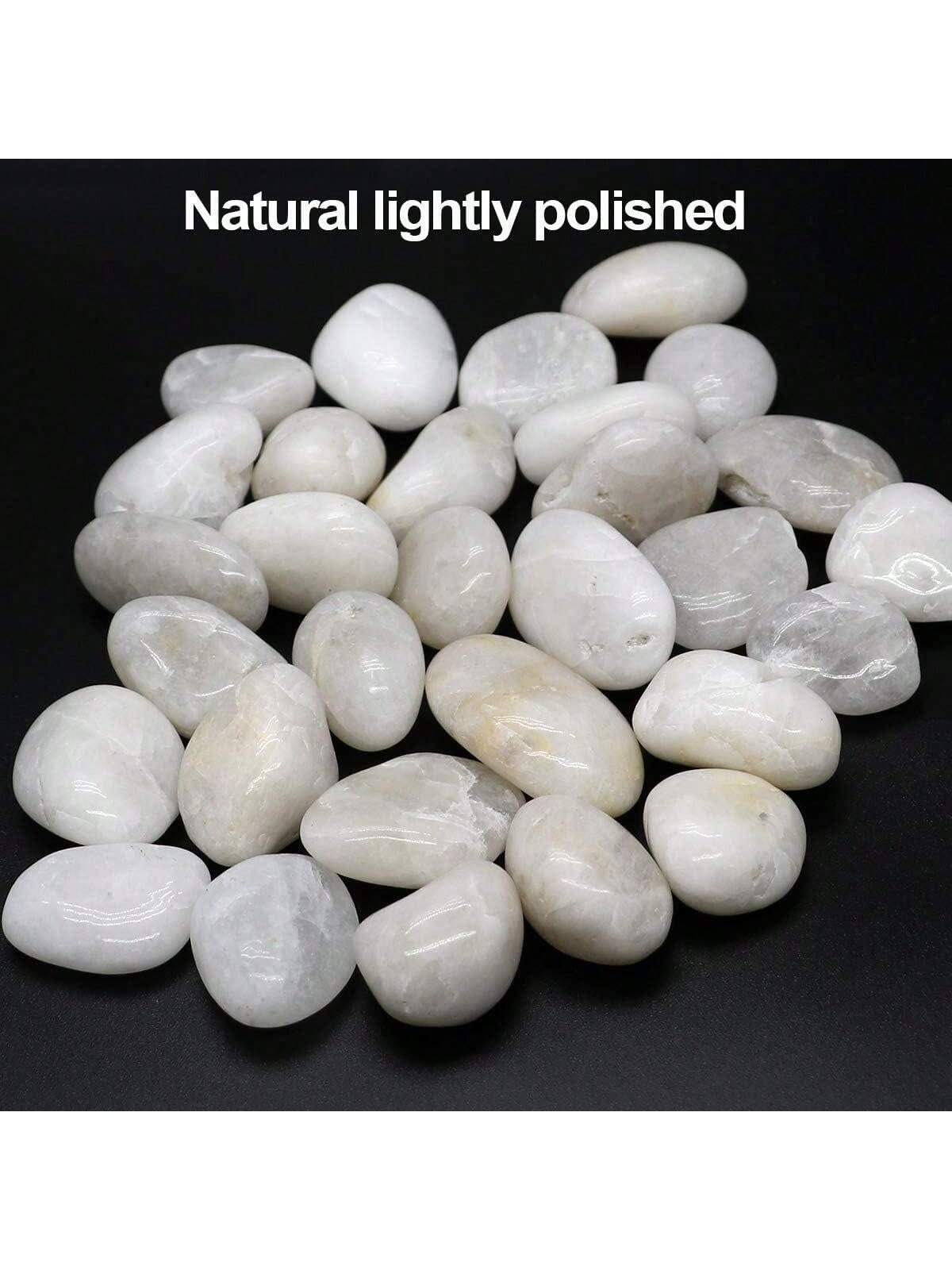Rocas de río, guijarros blanco - Marine Aquarium Tanks reseña y precio