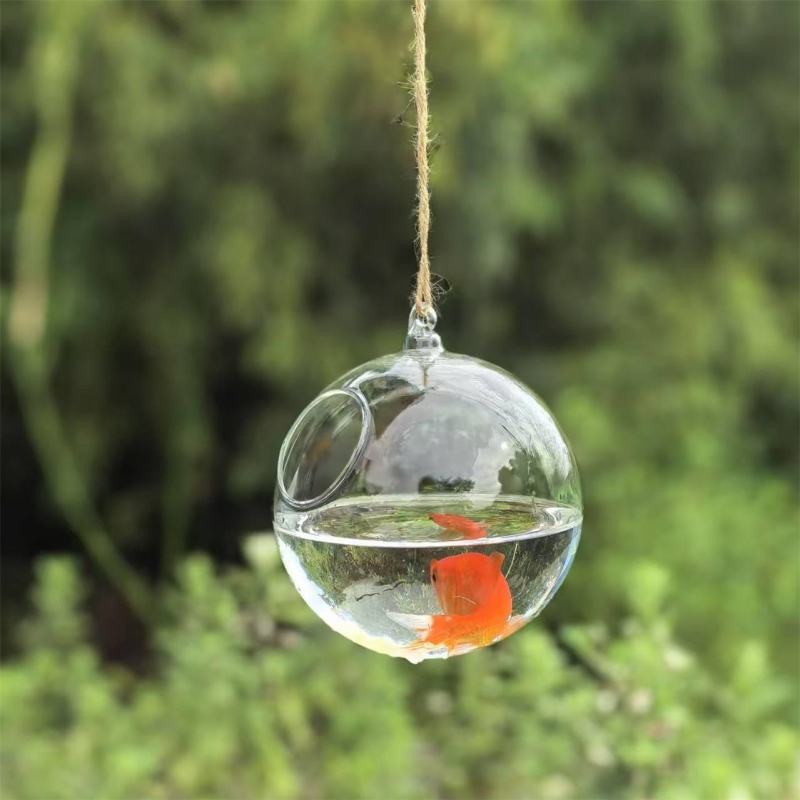 Terrario de Vidrio Transparent - Aquarium & Marine Museum reseña y precio