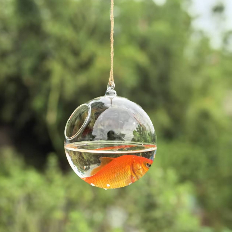 Terrario de Vidrio Transparent - Aquarium & Marine Museum reseña y precio