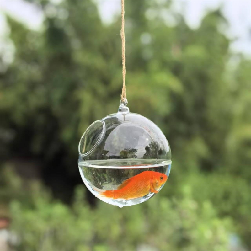 Terrario de Vidrio Transparent - Aquarium & Marine Museum reseña y precio