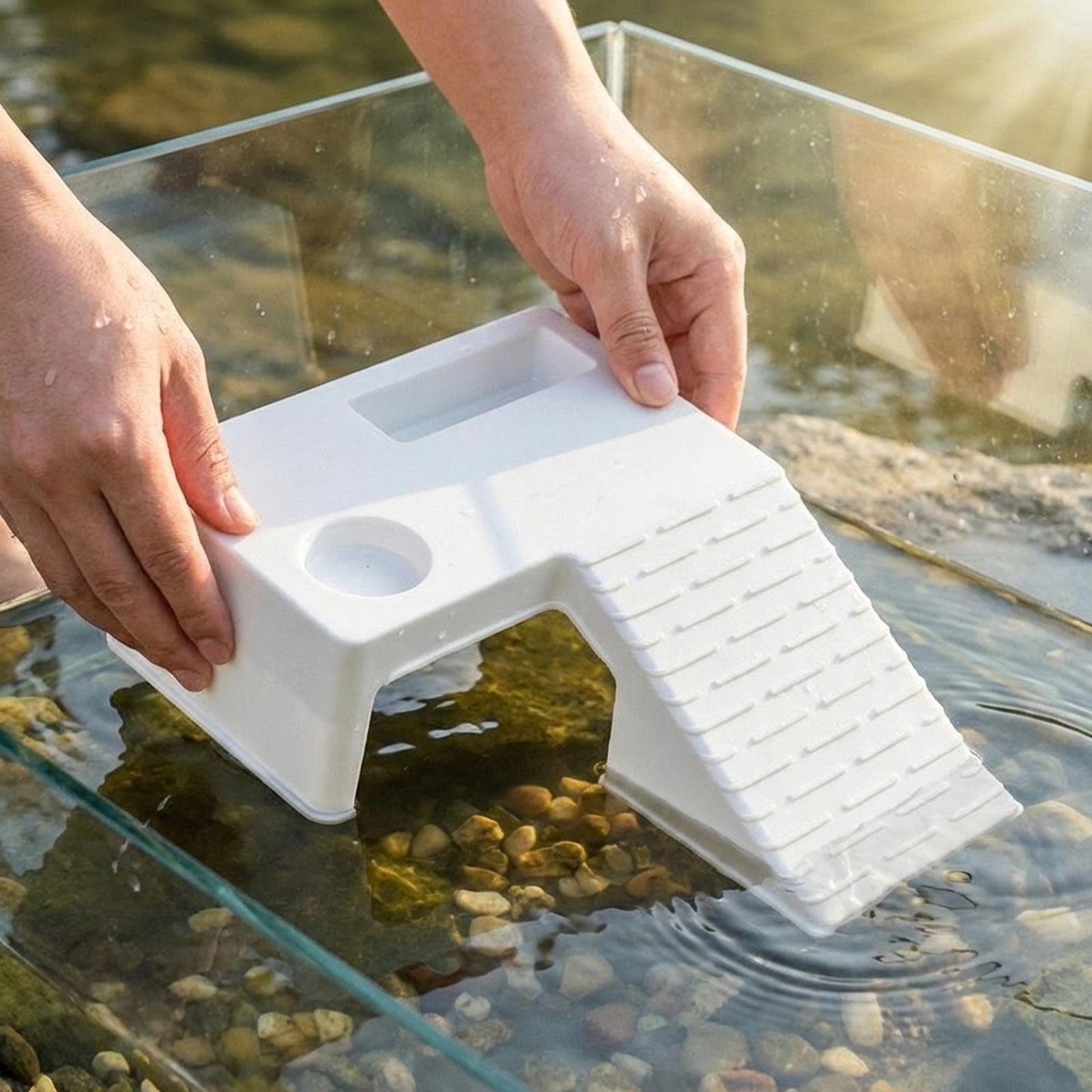 Plataforma de Descanso para To - Marine Aquarium Hobby reseña y precio