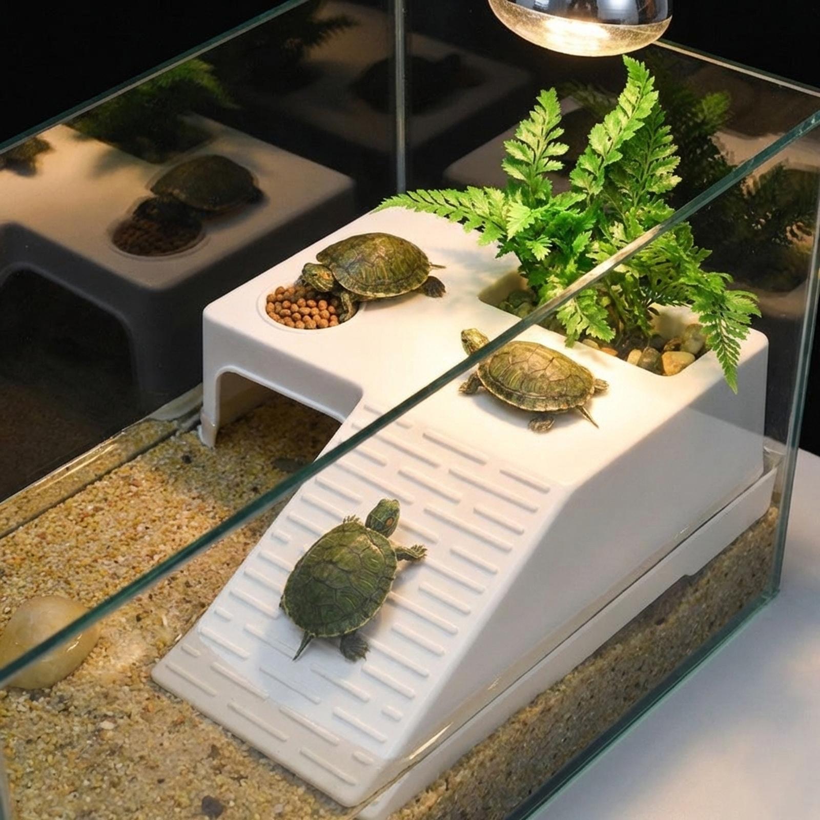 Plataforma de Descanso para To - Marine Aquarium Hobby reseña y precio