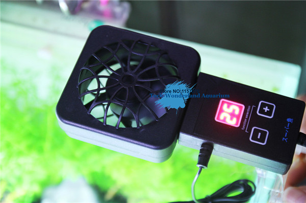 Mini nano clip para colgar en  - Marine Aquarium Water reseña y precio