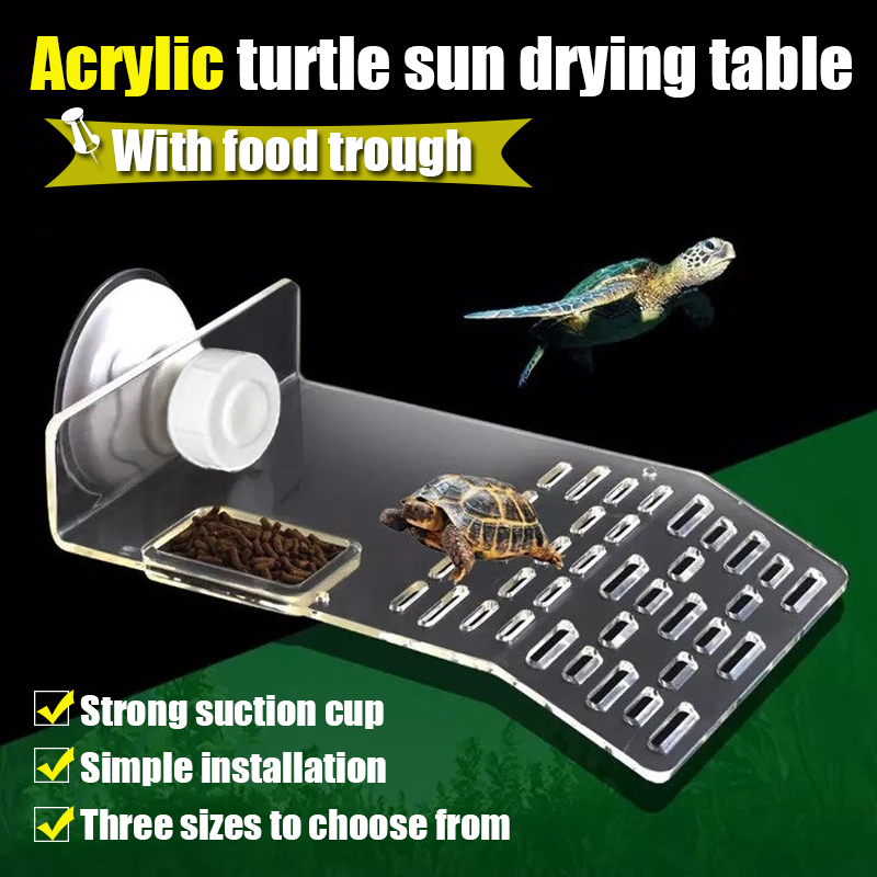 Plataforma de tortuga de tamañ - Marine Aquarium Hobby reseña y precio