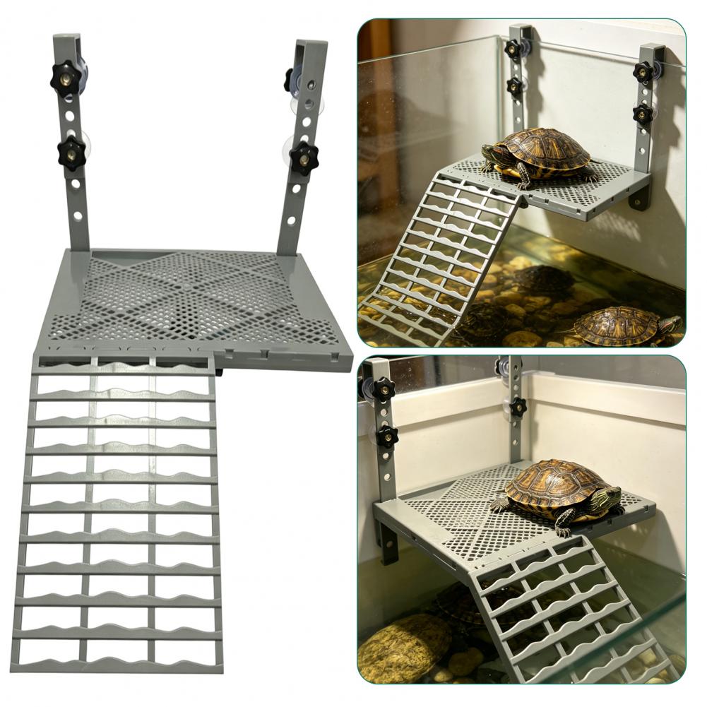 Decoración para Acuario, Plata - Marine Aquarium Tanks reseña y precio