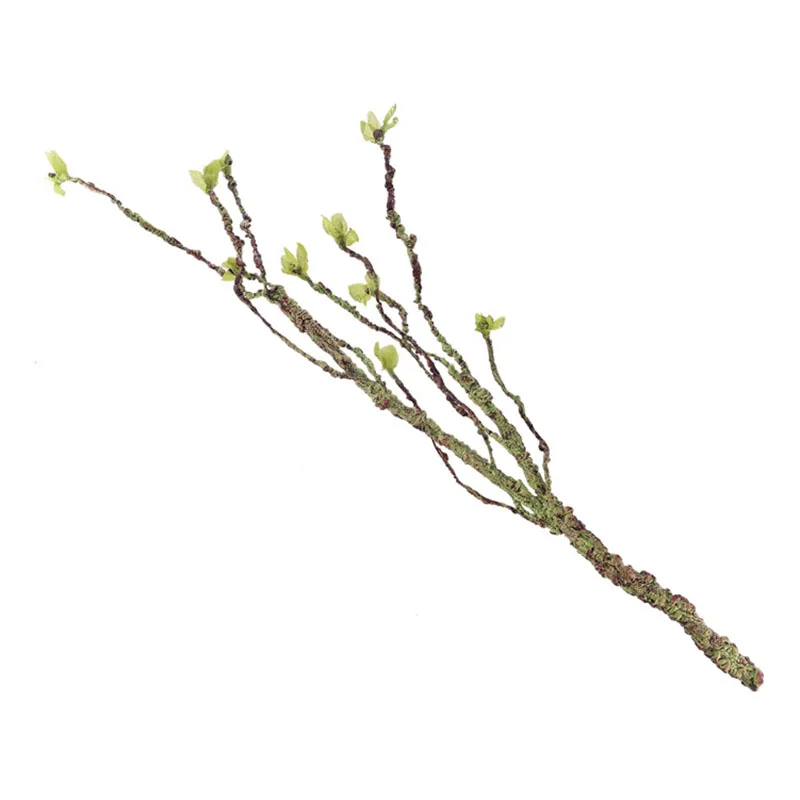 Decoración de enredaderas, ram - Marine Aquarium Hobby reseña y precio